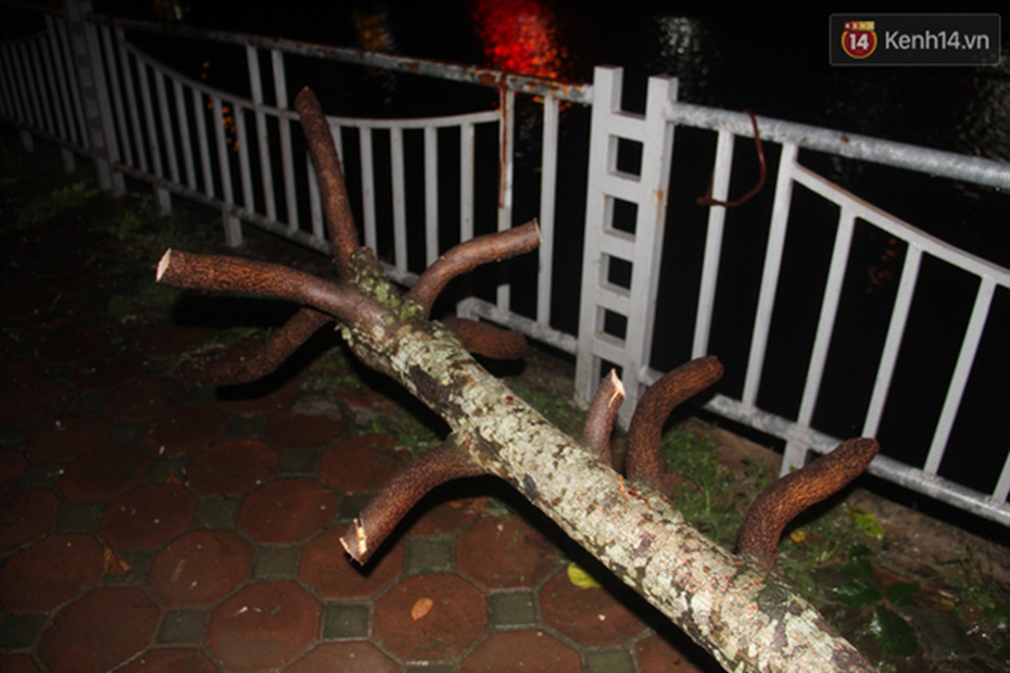 Mưa lớn khiến cây xanh tại Hà Nội đổ gục hàng loạt, dây điện chằng chịt trên vỉa hè-6