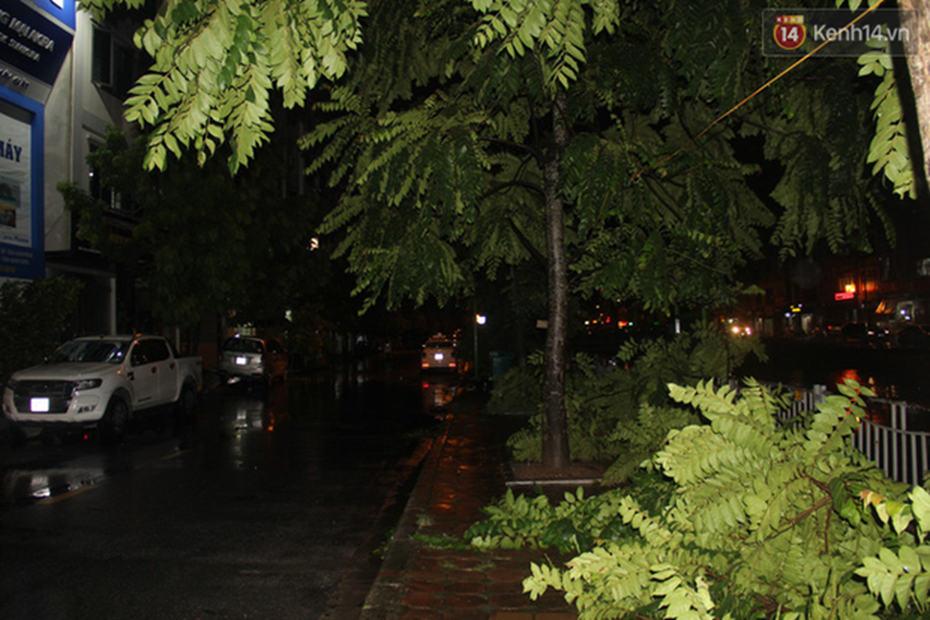 Mưa lớn khiến cây xanh tại Hà Nội đổ gục hàng loạt, dây điện chằng chịt trên vỉa hè-8