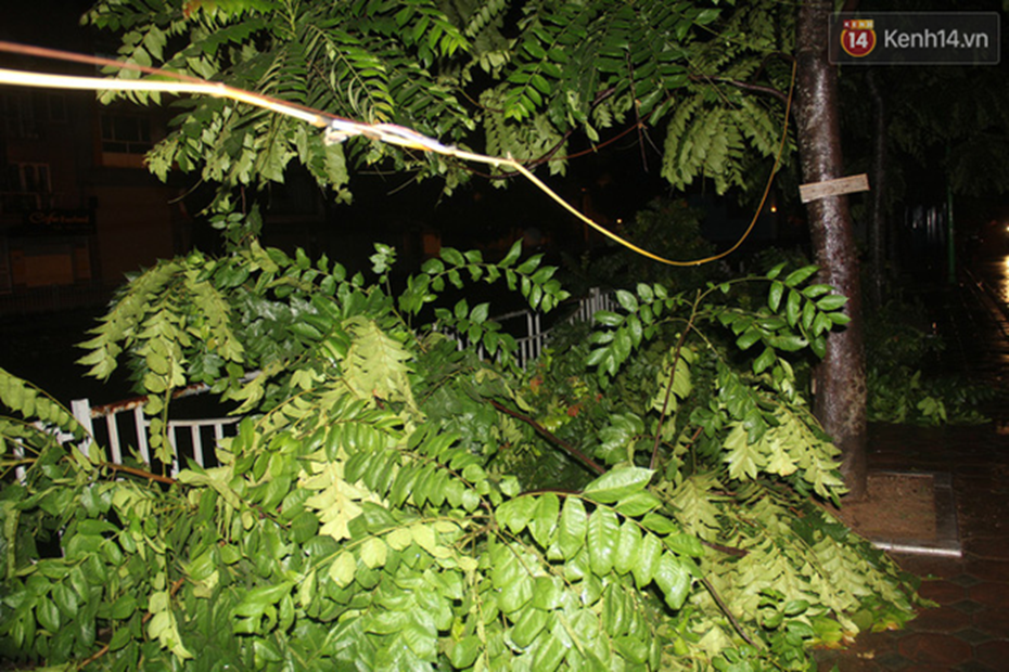Mưa lớn khiến cây xanh tại Hà Nội đổ gục hàng loạt, dây điện chằng chịt trên vỉa hè-13