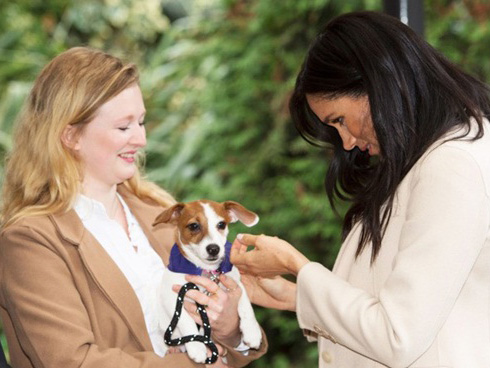 Hoàng tử Harry khiến người hâm mộ lịm tim với lời chúc mừng sinh nhật đầy ngọt ngào gửi đến vợ, Meghan Markle sẽ đón tuổi mới tại nơi đặc biệt-4