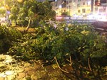 Người Hà Nội mang rổ ra giữa đường phố bắt hàng kg cá trong đêm mưa gió-12