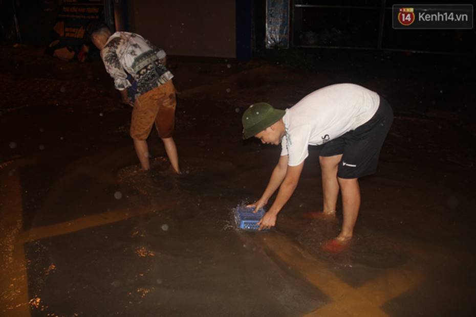 Người Hà Nội mang rổ ra giữa đường phố bắt hàng kg cá trong đêm mưa gió-6