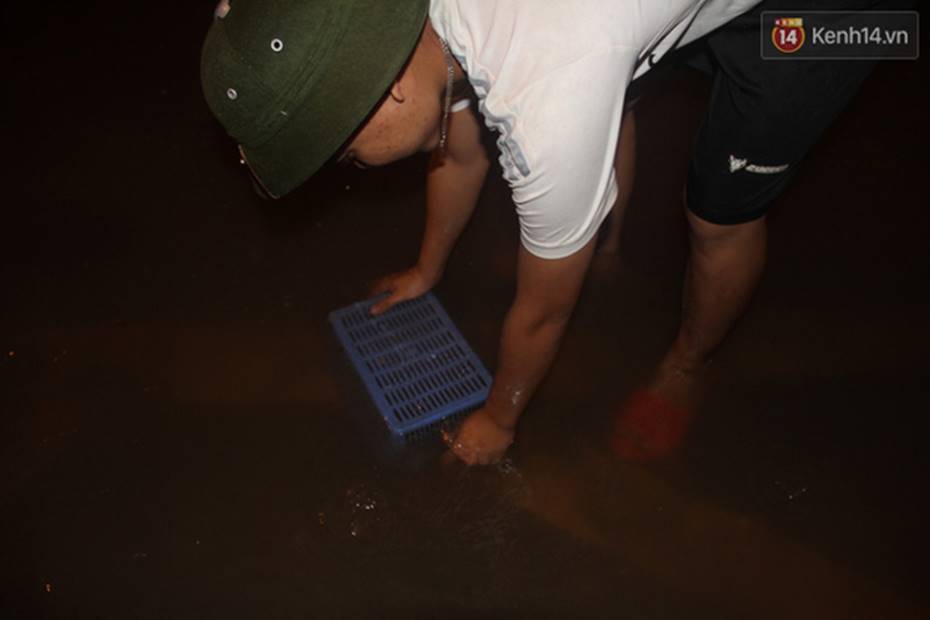 Người Hà Nội mang rổ ra giữa đường phố bắt hàng kg cá trong đêm mưa gió-7