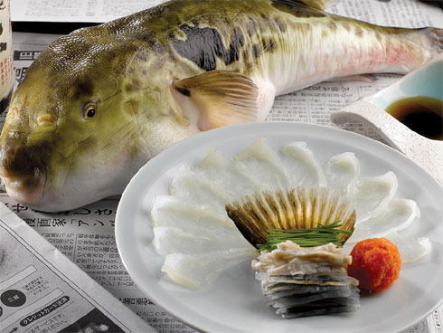 Nuôi con chỉ ăn phân động vật, đút túi chục triệu mỗi tháng-5