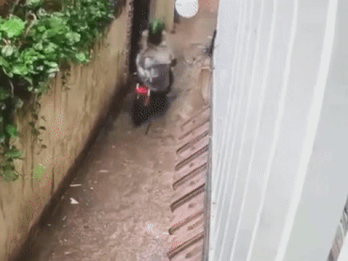 Tên trộm nhọc nhằn dắt Ducati trong mưa bão tại Hà Nội
