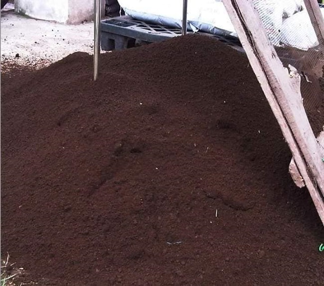 Nuôi con chỉ ăn phân động vật, đút túi chục triệu mỗi tháng-4