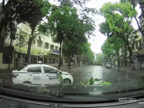 CLIP: Thấy cây to đổ ngang đường, tài xế xe bán tải có hành động ấm lòng ngày mưa bão