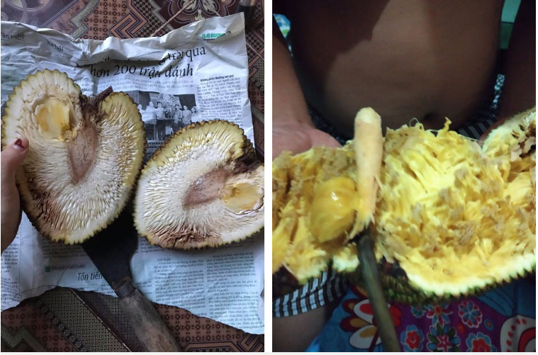 Than thở vì đầu tháng cô hồn đã gặp quả mít lạ, chàng trai lại gặp ngay phản ứng bất ngờ của dân mạng-3