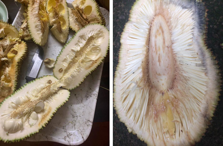 Than thở vì đầu tháng cô hồn đã gặp quả mít lạ, chàng trai lại gặp ngay phản ứng bất ngờ của dân mạng-5