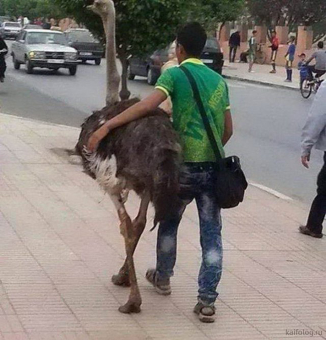 Cuộc sống này chuyện kỳ quái gì cũng có thể xảy ra-9