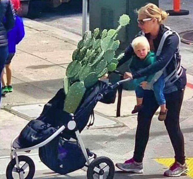 Cuộc sống này chuyện kỳ quái gì cũng có thể xảy ra-15