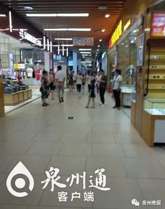 Bé trai 5 tuổi bị mẹ kế đánh vỡ nội tạng dẫn đến tử vong, ác phụ đã bị bắt nhưng cư dân mạng lại căm phẫn người này-7