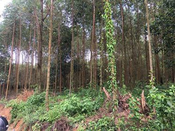 Vụ con rể thảm sát gia đình vợ rồi bỏ trốn: Người nhà hé lộ buổi tối kinh hoàng-3