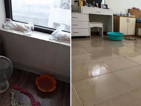 Bị chặt chém 2,9 triệu đồng cho cuốc xích lô dạo Sài Gòn 5 phút, du khách Nhật Bản vẫn nhận lỗi về mình: Là tại tôi không hỏi giá trước khi lên xe”-3