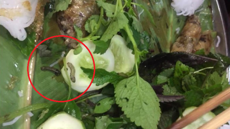 Hàng bún đậu nổi tiếng nhất nhì Hà Nội bị khách tố có sâu và phân sâu trong mẹt rau, ăn về còn đau bụng?-2