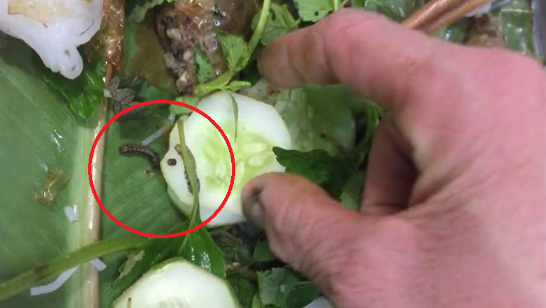 Hàng bún đậu nổi tiếng nhất nhì Hà Nội bị khách tố có sâu và phân sâu trong mẹt rau, ăn về còn đau bụng?-3