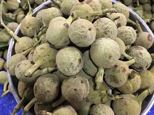 Thứ đắt hơn vàng trong phân chim, chăm đi nhặt về bán chục triệu dễ dàng-12