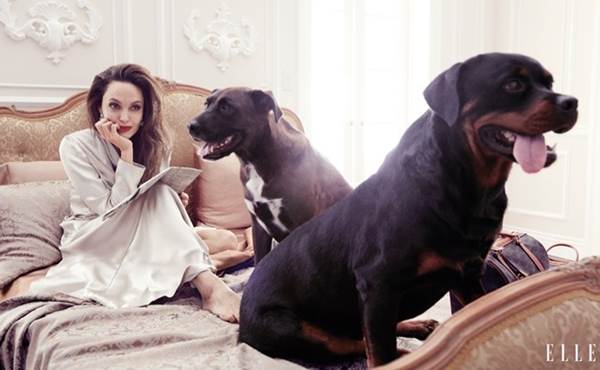 Angelina Jolie 44 tuổi đẹp rạng ngời với thần thái mê hoặc-4