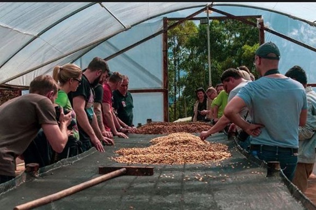 Thứ đắt hơn vàng trong phân chim, chăm đi nhặt về bán chục triệu dễ dàng-6