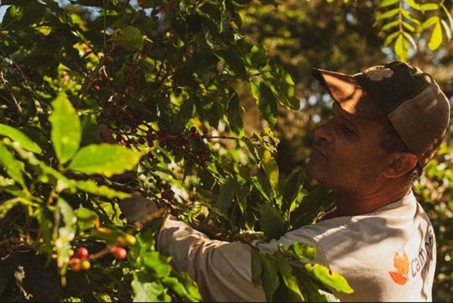 Thứ đắt hơn vàng trong phân chim, chăm đi nhặt về bán chục triệu dễ dàng-7