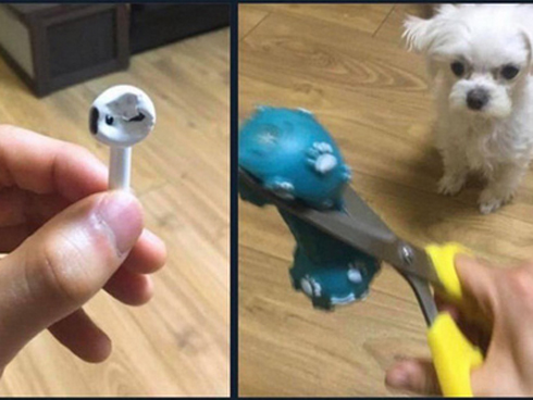 Siêu phẩm trai đẹp sinh năm 1999 của Học viện Ngoại giao với nụ cười toả nắng có thể hạ gục bất cứ cô gái nào!-10