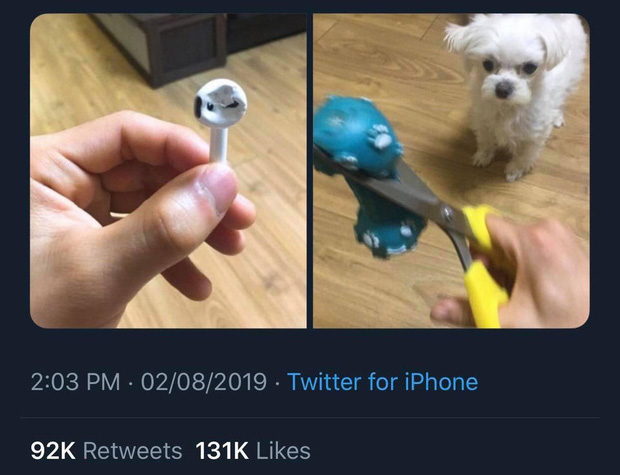 Tức giận chó cưng cắn nát AirPod, sen ngố ra tay dằn mặt khiến boss chỉ biết đứng hình 5 giây-1