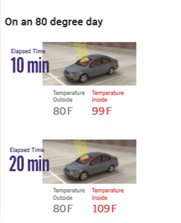 Hội đồng an toàn quốc gia Mỹ đưa ra những con số khủng khiếp về tình trạng trẻ chết vì bị bỏ quên trong xe và bộ quy tắc người lớn phải nằm lòng-3