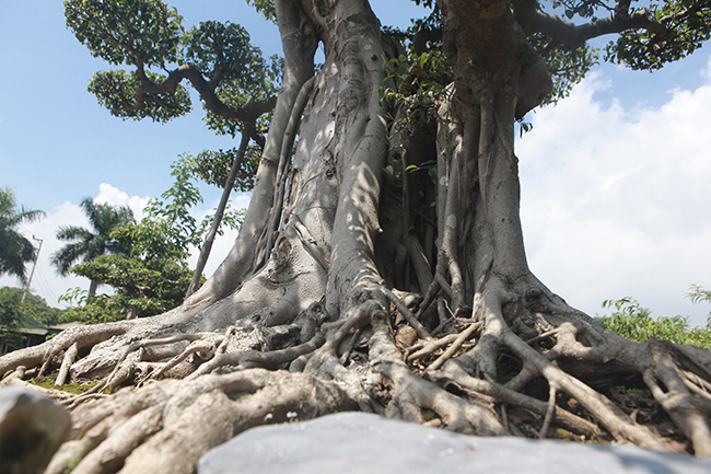 Cột cờ Hà Nội giá 2 tỷ, chủ nhân vẫn nhất quyết không bán-11