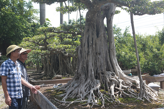 Cột cờ Hà Nội giá 2 tỷ, chủ nhân vẫn nhất quyết không bán-12