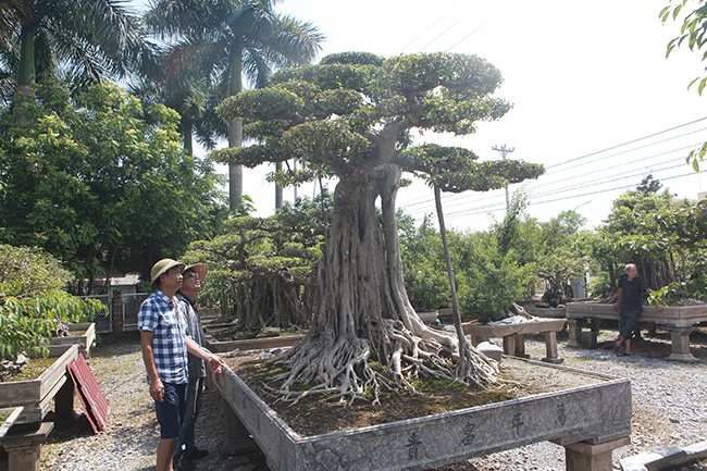 Cột cờ Hà Nội giá 2 tỷ, chủ nhân vẫn nhất quyết không bán-5