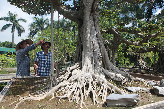 Cột cờ Hà Nội giá 2 tỷ, chủ nhân vẫn nhất quyết không bán-6