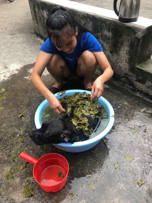 Chủ của chú chó trong clip húc đổ mâm cơm đang hot nhất MXH: Lúc đấy thật sự chán nhưng vẫn buồn cười-3