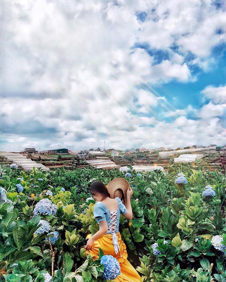 Nhiều người sốc nặng không nhận ra đây là Đà Lạt vì chìm trong biển nước, lật đật bỏ ngay tour du lịch vào cuối tuần này-1