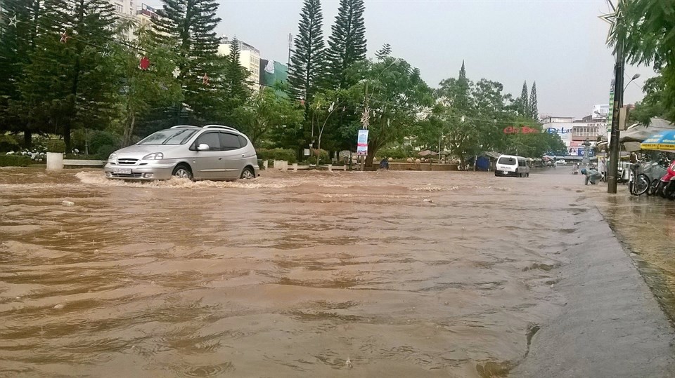 Nhiều người sốc nặng không nhận ra đây là Đà Lạt vì chìm trong biển nước, lật đật bỏ ngay tour du lịch vào cuối tuần này-9