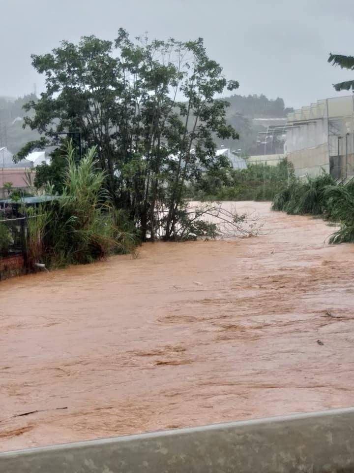 Nhiều người sốc nặng không nhận ra đây là Đà Lạt vì chìm trong biển nước, lật đật bỏ ngay tour du lịch vào cuối tuần này-11