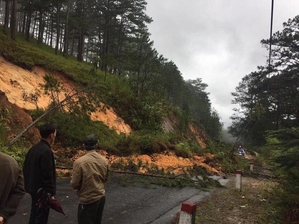 Nhiều người sốc nặng không nhận ra đây là Đà Lạt vì chìm trong biển nước, lật đật bỏ ngay tour du lịch vào cuối tuần này-12