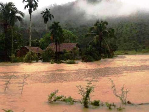 Điều tra vụ bé gái tử vong bất thường khi ở nhà với bố dượng-2