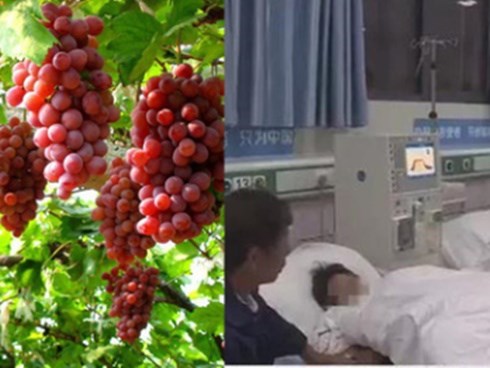 Một phụ nữ suýt mất mạng vì ăn quá nhiều nho, bác sĩ cảnh báo 3 lưu ý khi ăn trái cây kẻo tàn phá sức khỏe