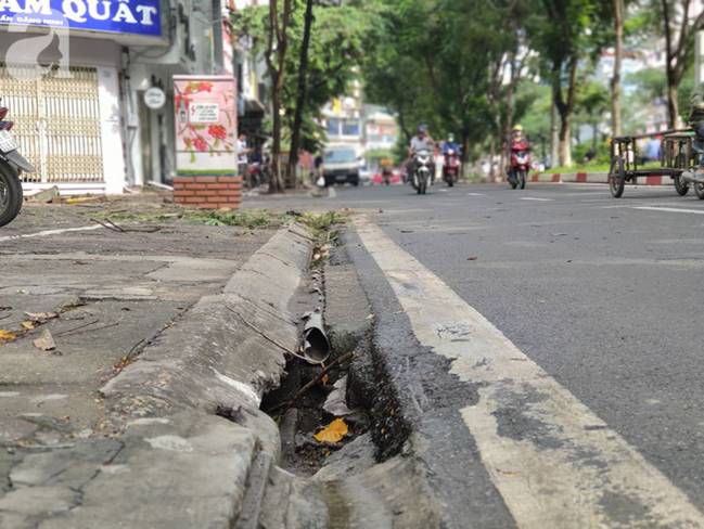 Trời mưa lớn khiến cây xanh ngã đổ, một nam thanh niên tử vong khi di chuyển trên đường-3