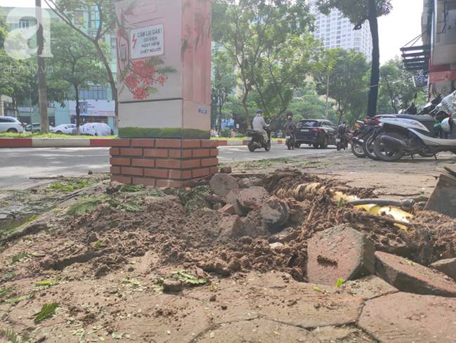 Trời mưa lớn khiến cây xanh ngã đổ, một nam thanh niên tử vong khi di chuyển trên đường-5