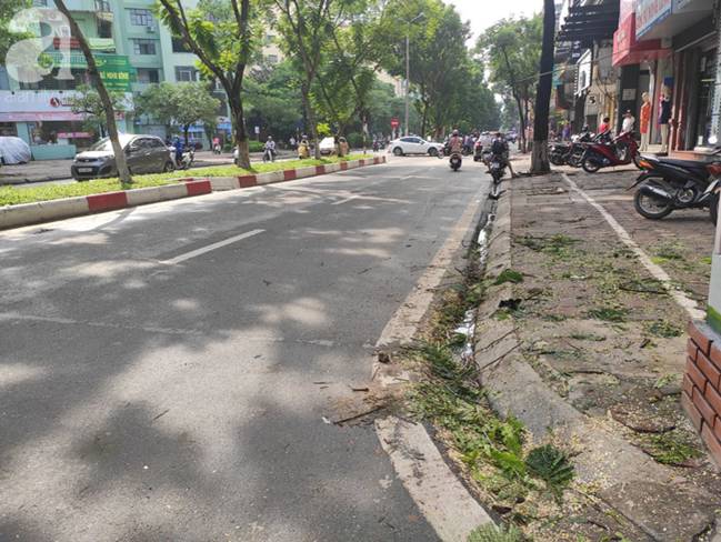 Trời mưa lớn khiến cây xanh ngã đổ, một nam thanh niên tử vong khi di chuyển trên đường-7