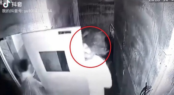 Đã yếu bóng vía còn thích trải nghiệm kinh dị, cô gái gục ngã tại trận phải nhờ bạn lôi xềnh xệch ra khỏi căn phòng sát nhân-3