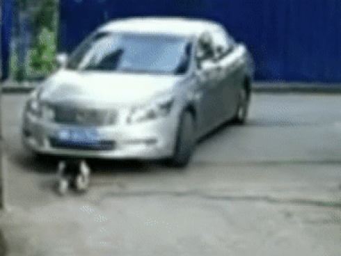 Bé gái 3 tuổi thoát chết sau 2 lần bị ôtô cán trúng