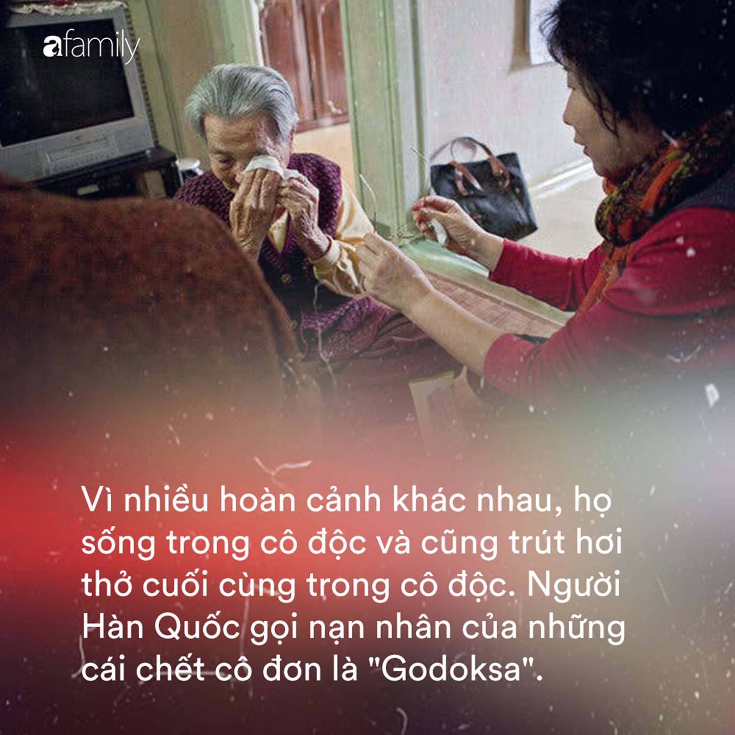 Người già ở Hàn Quốc: Hi sinh tất cả cho con cái, đến khi về hưu, sống trong cô đơn và chết trong cô độc-1