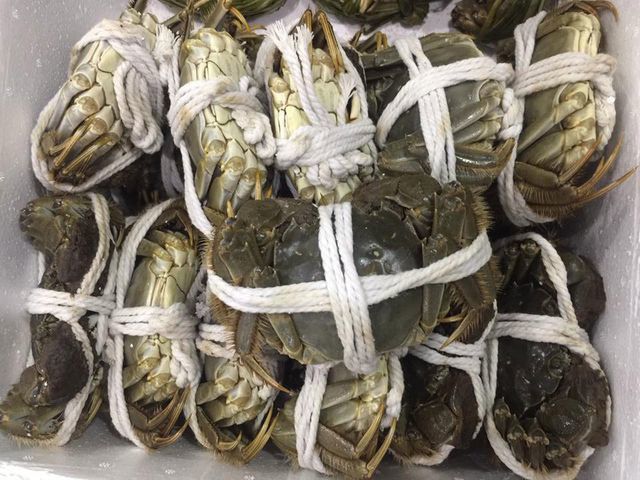 Con cua bé tí có vài lạng chỉ như cua đồng Việt Nam mà giá cả triệu-6