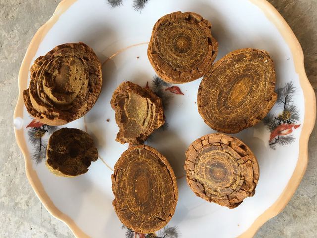 Sỏi mật trâu, bò đắt hơn vàng ròng, xếp hàng cả năm không có mà mua-1