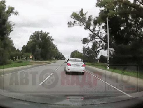 Tài xế ôtô đánh lái xuất thần tránh cây đột ngột đổ xuống đường