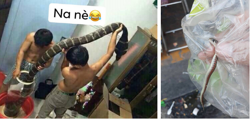 Câu chuyện tìm bé Na mất tích” khiến dân mạng xôn xao, đến khi nhận ra thân thế thật về bé Na thì ai cũng té xỉu-6