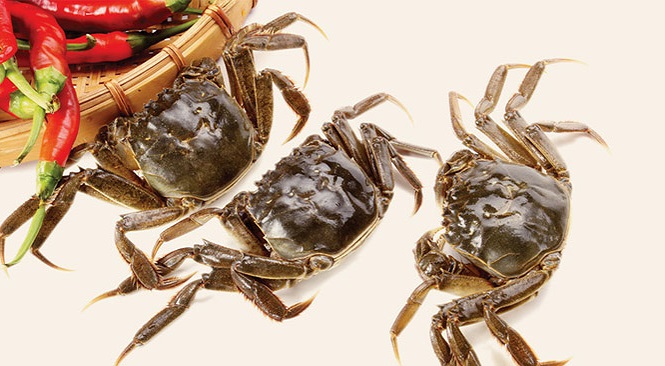 Dùng cua đồng theo cách này chữa bệnh xương khớp tốt gấp tỷ lần thuốc tây-1