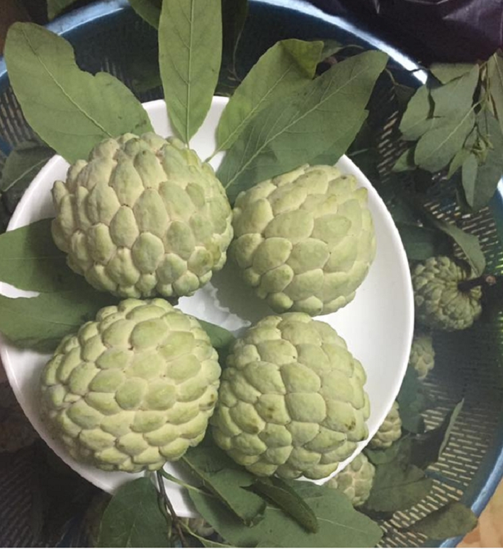 Na bở lên giá cực gắt, tới 200 nghìn/kg tại các chợ dân sinh-4